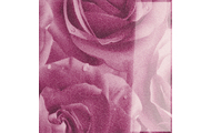 Роза Фиолетовая 