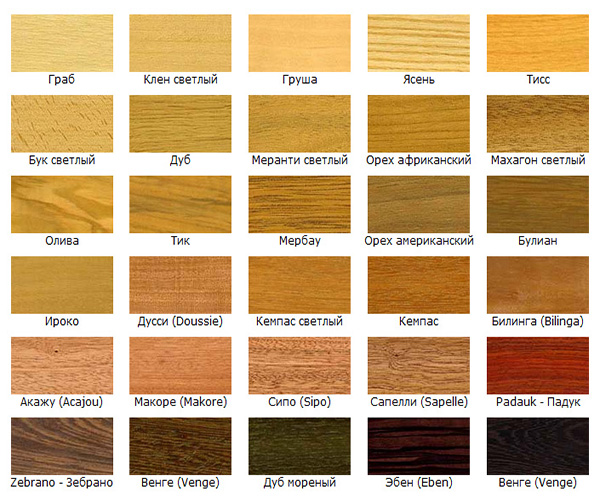 Какие бывают цвета древесины